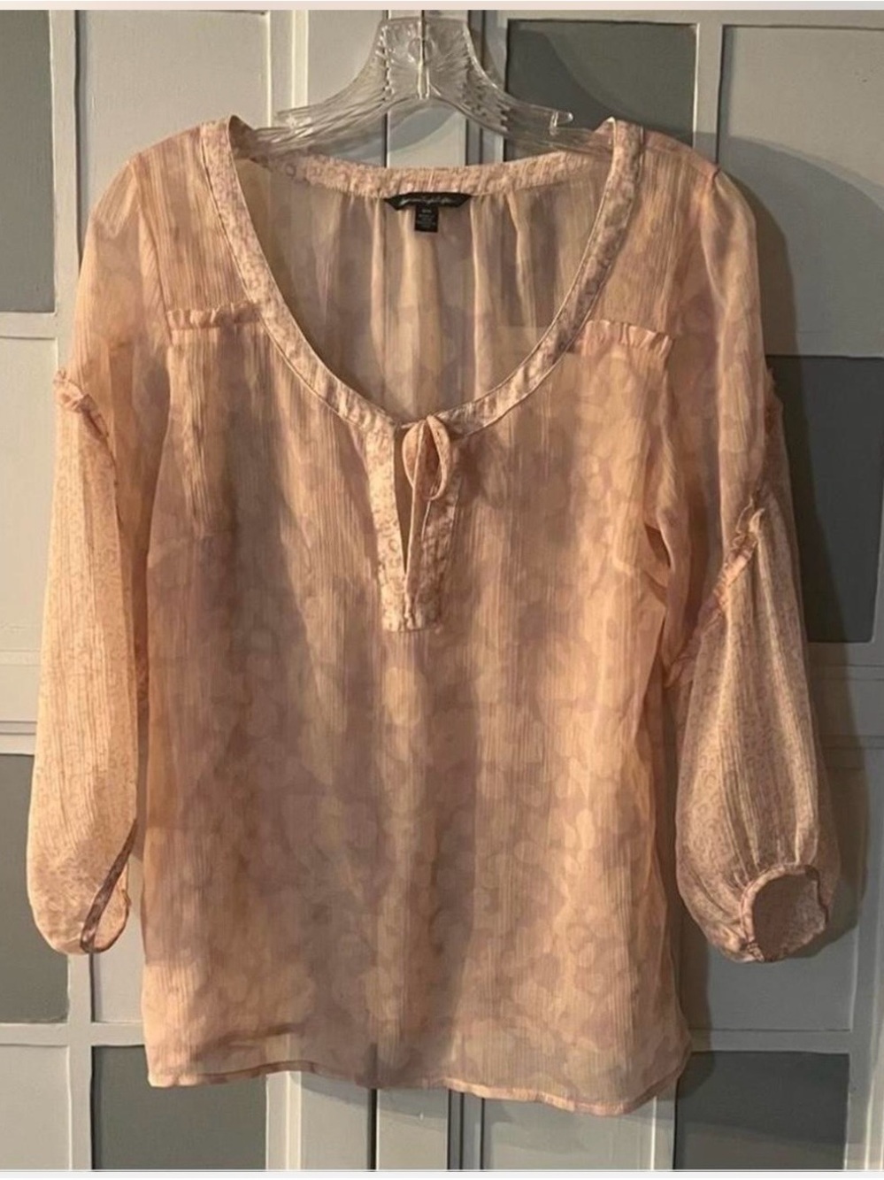 American Eagle Outfitters Sheer Light Peachy-Pink Tie-Neck Blouse